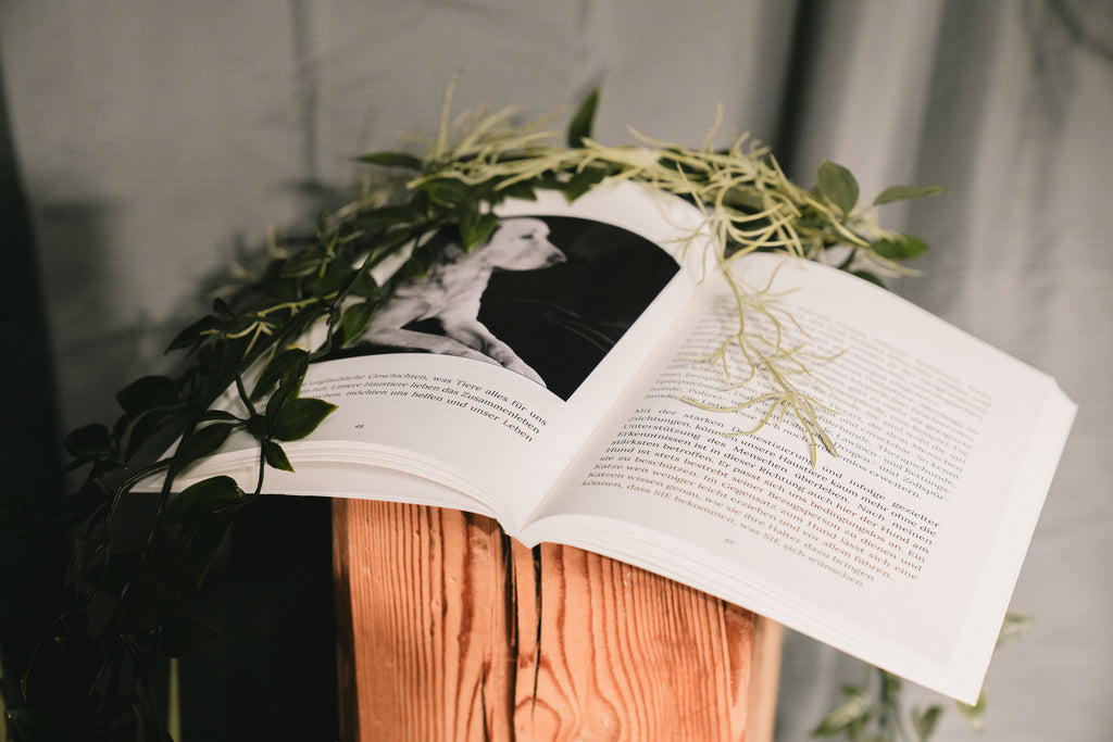 Taschenbuch – «Ich bin die Stimme deines Tieres»