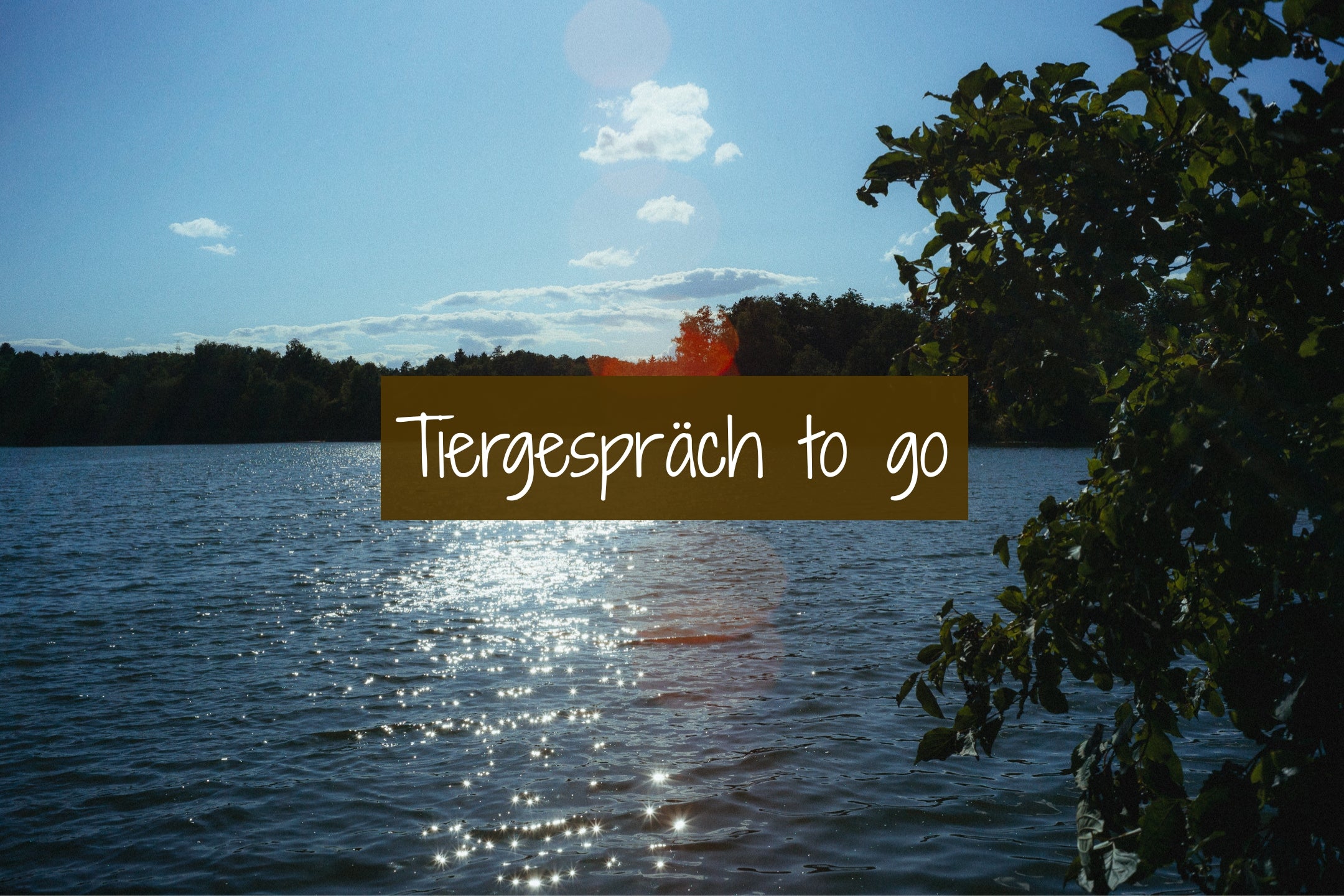 Tiergespräch to go